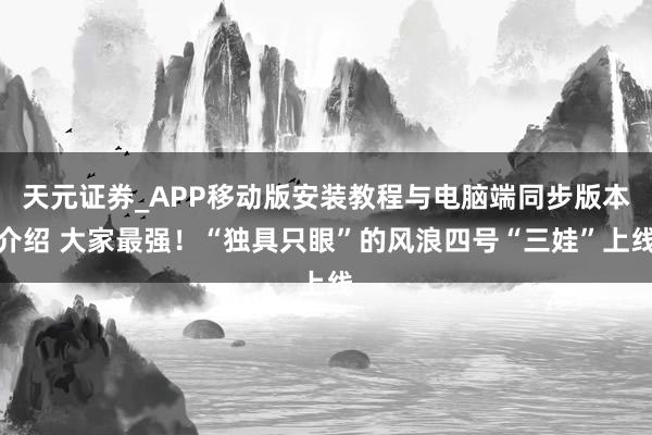 天元证券_APP移动版安装教程与电脑端同步版本介绍 大家最强！“独具只眼”的风浪四号“三娃”上线