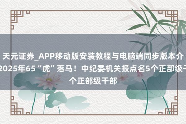 天元证券_APP移动版安装教程与电脑端同步版本介绍 2025年65“虎”落马！中纪委机关报点名5个正部级干部