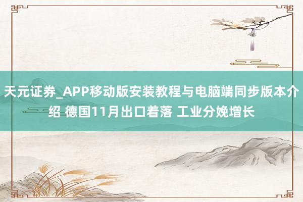 天元证券_APP移动版安装教程与电脑端同步版本介绍 德国11月出口着落 工业分娩增长