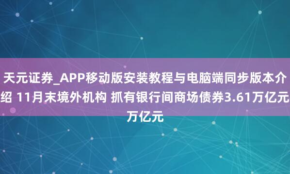 天元证券_APP移动版安装教程与电脑端同步版本介绍 11月末境外机构 抓有银行间商场债券3.61万亿元
