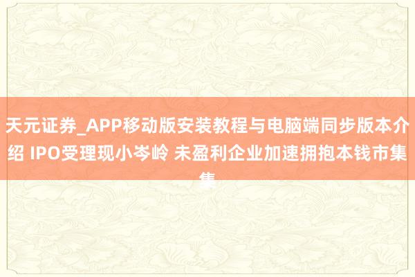 天元证券_APP移动版安装教程与电脑端同步版本介绍 IPO受理现小岑岭 未盈利企业加速拥抱本钱市集