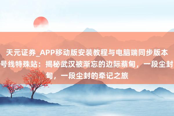 天元证券_APP移动版安装教程与电脑端同步版本介绍 地铁4号线特殊站：揭秘武汉被渐忘的边际蔡甸，一段尘封的牵记之旅
