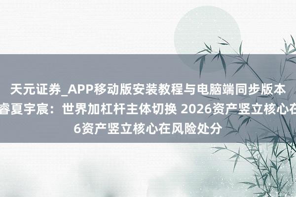天元证券_APP移动版安装教程与电脑端同步版本介绍 新宏睿夏宇宸：世界加杠杆主体切换 2026资产竖立核心在风险处分